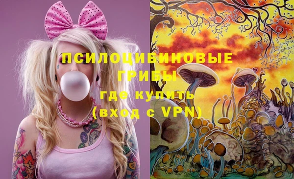 сатива Алексин