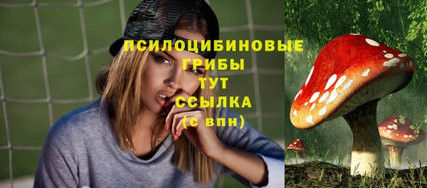 сатива Алексин