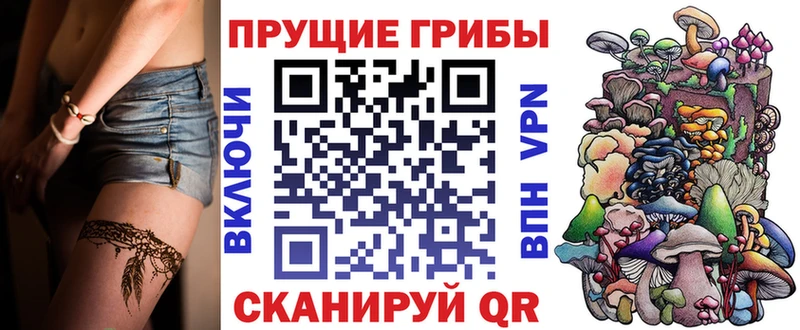 Псилоцибиновые грибы мухоморы  МЕГА зеркало  Бердск 